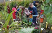 Reconsidérer les besoins de l’enfant