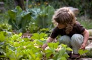 (R)évolutionnons l’agriculture