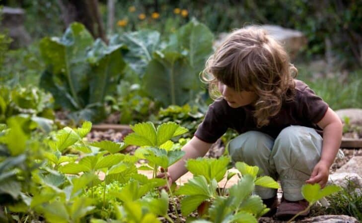 (R)évolutionnons l’agriculture