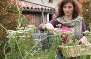 Les ateliers en herbe