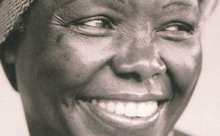 « Celle qui plante les arbres » de Wangari Maathai