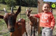 L&rsquo;Îlot des Combes, une oasis au Creusot