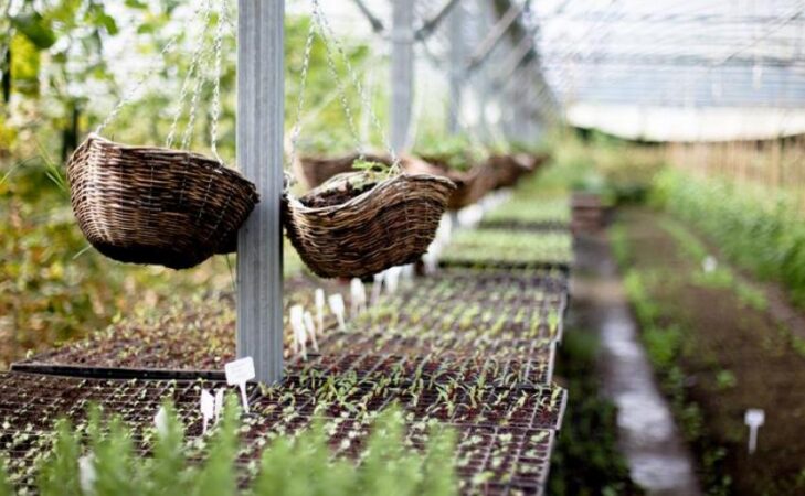 La permaculture : et dans l’entreprise ?