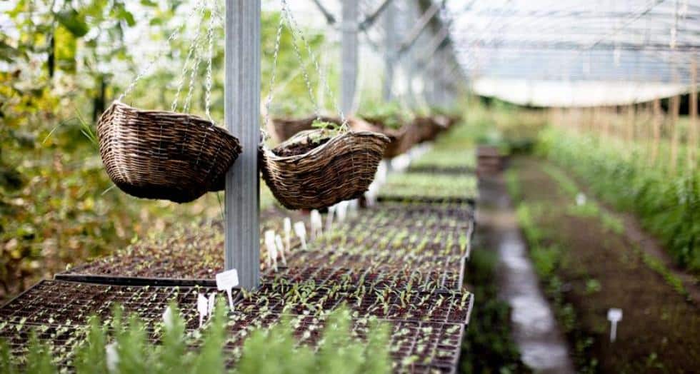 Permaculture 1 0 0 0 0 0 0 0 0 0 0 0 0 0 0 0