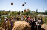 États généraux de l’alimentation : chiche !