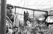 L&rsquo;agroécologie en Palestine : cultiver c&rsquo;est résister
