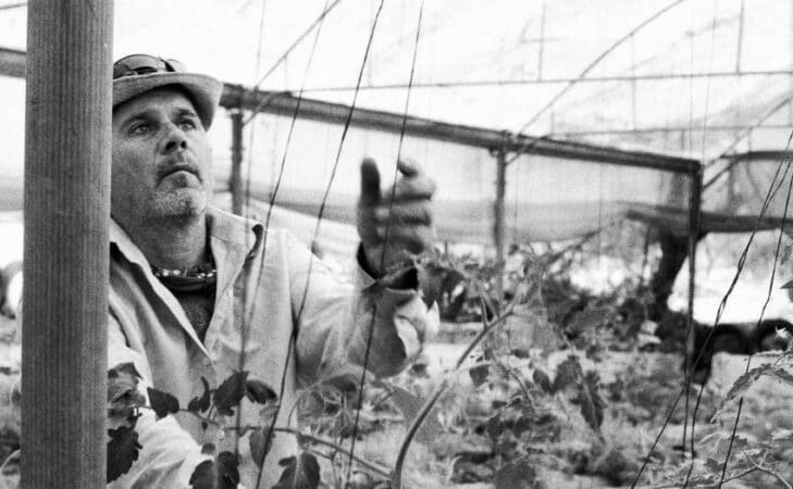 L’agroécologie en Palestine : cultiver c’est résister