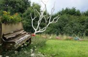 Pour des projets… compostables