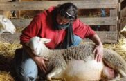 Fin de gestation : des émotions fortes !