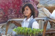 L’agroécologie, le pari pour la paix d’un collectif libanais