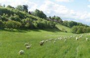 Près de chez nous : la Ferme de l&rsquo;Hermitage (69)