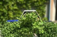 Le Mur Comestible, un jardin à portée de main