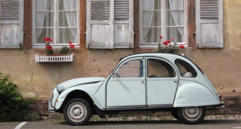 2cv tine steiss 1 0 0 0 0 0