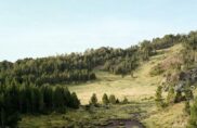 Forêts des hommes, par Sylvain Duffard