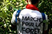 Marcher pour sauver la forêt