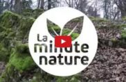 Nouvelle chronique : la minute nature !