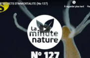 8 secrets d’immortalité