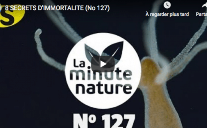 8 secrets d’immortalité
