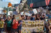 L&rsquo;éducation au secours de la Terre ?