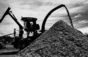L’opération séduction des industriels de la forêt