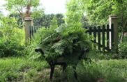 L’aventure du « Jardin sans pétrole », un chemin de vie
