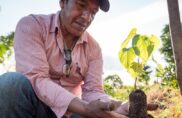 L’Agroforesterie en Amérique du Sud