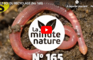 Le roi du recyclage