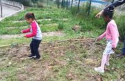Les Semourais : planter des arbres pour relier des êtres