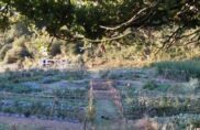 Ahalen lurrak : l&rsquo;agroécologie de A à Z