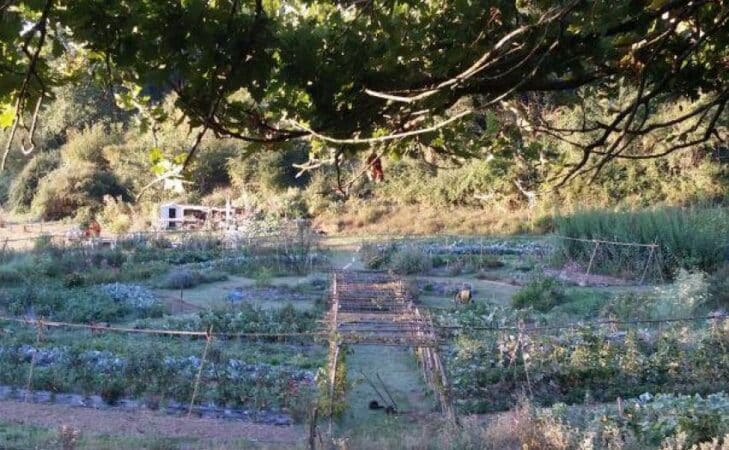 Ahalen lurrak : l’agroécologie de A à Z