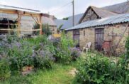 L’arbre de vie : vivre l’écologie en collectif et entre amis