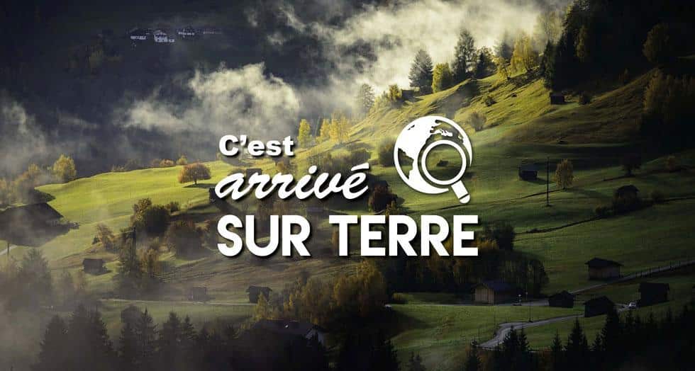 Arrive 1 0 0 0 0 0 0 0 0 0 0 0 0 0 0