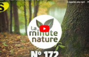 Les arbres nous sauveront