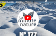 Dormir dans la neige