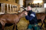 La ferme qui guérit des addictions