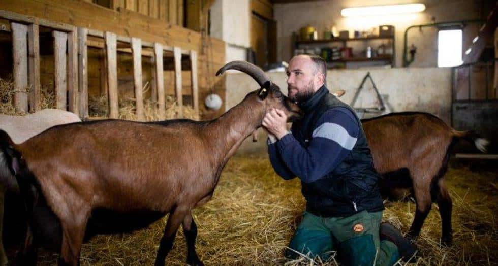 Bernide 1 1 0 0 0 0 0 0 0 0