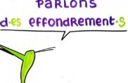 L’effondrement vu par les groupes locaux colibris