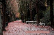 Au Ciel des plages sans fin · Jour 44