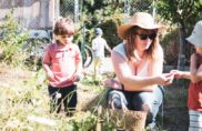 Une après-midi dans le jardin partagé de Kembs