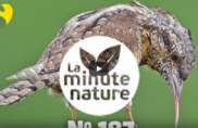 Découvrez les 9 pics