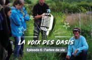 Contribuer positivement aux équilibres écologiques et sociaux