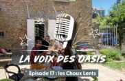 Vivre en oasis, « vivre moins con » !