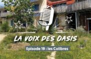 Habiter autrement la Côte d’Azur !