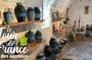 Une arche de la non-violence et de la sobriété