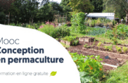 Nouvelle session du Mooc « Conception en permaculture » !