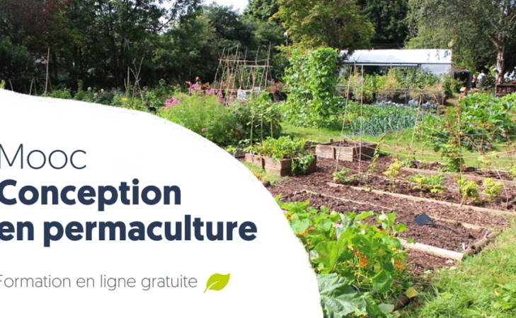 Nouvelle session du Mooc « Conception en permaculture » !