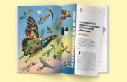 La revue 90° « Pour une révolution alimentaire », en téléchargement gratuit !