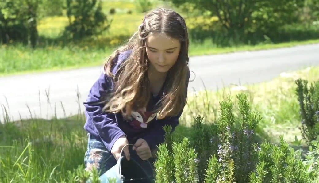 Le Programme Jeunes des Colibris