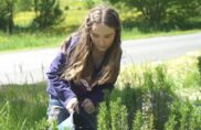 Le Programme Jeunes des Colibris