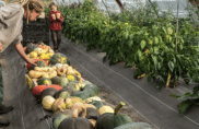 Nouvelles formes d’installations en zones rurales